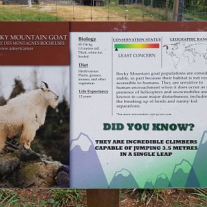 Mountain Goat Sign