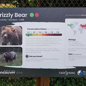 Grizzly Bear Sign