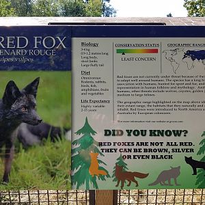 Red Fox Sign