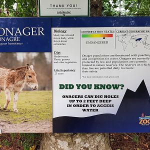 Onager Sign