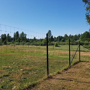 Bactrian Camel & Dromedary Camel Exhibit