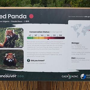 Red Panda Sign