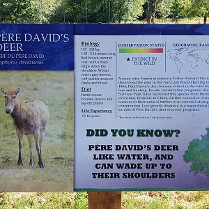 Pere David’s Deer Sign