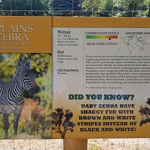 Plains Zebra Sign