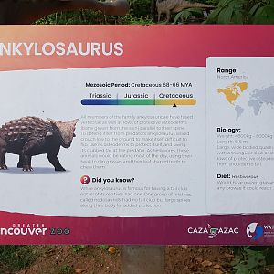 Ankylosaurus Sign