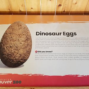 Dinosaur Eggs Sign
