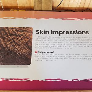 Skin Impressions Sign