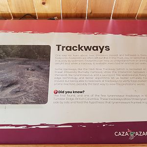 Trackways Sign