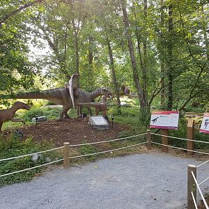 Iguanodon & Velociraptor Display