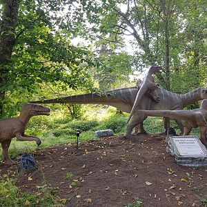 Iguanodon & Velociraptors