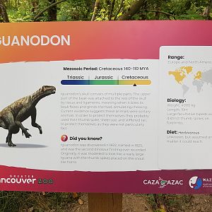 Iguanodon Sign