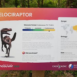 Velociraptor Sign