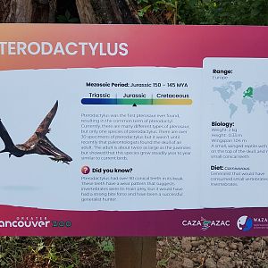 Pterodactylus Sign