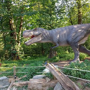 Tyrannosaurus Display