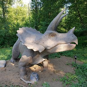 Triceratops