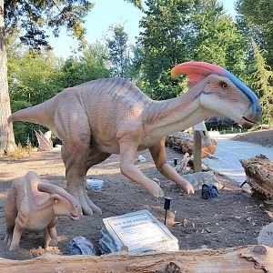 Parasaurolophuses