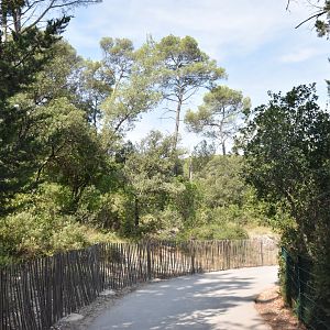 Typical path in the zoo