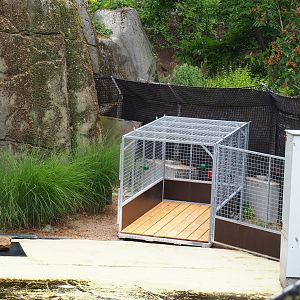 Transport cage for upcoming transfer California sea lions, 2021-06-12