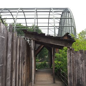 Marabou/Vulture aviary and upper level viewing area, 2021-06-12