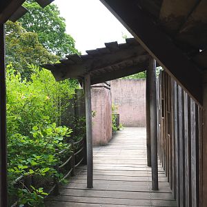 Walkway between the viewing areas on the roof of the hippopotamus house, 2021-06-12