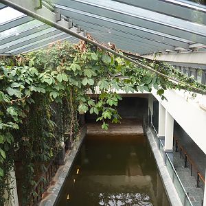 Hippopotamus indoor housing, seen from the viewing area on the roof of the hippopotamus house, 2021-06-12