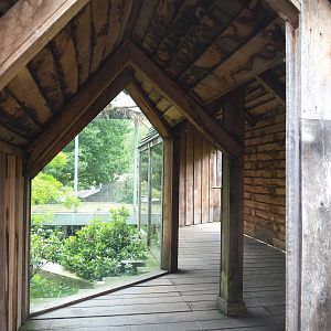 Viewing area for the upper level of the marabou/vulture aviary, on the roof of the hippopotamus house, 2021-06-12