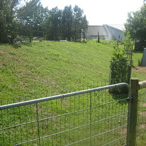 Enghave Dyre- og Naturpark - Wallaby exhibit