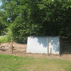 Enghave Dyre- og Naturpark - Goose exhibit