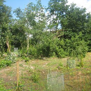 Enghave Dyre- og Naturpark - Duck/goose exhibit