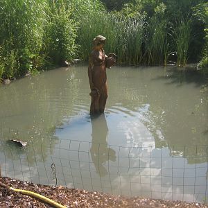 Enghave Dyre- og Naturpark - Turtle pond