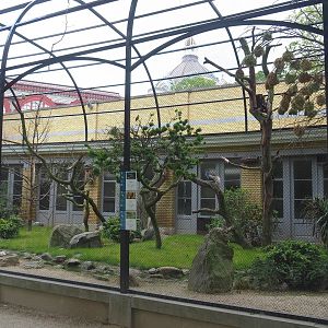 Bird house - Large mixed outdoor aviaries - African aviary, 2021-06-12