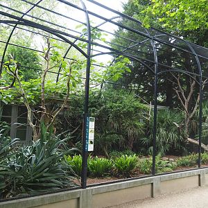 Bird house - Large mixed outdoor aviaries - American aviary, 2021-06-12