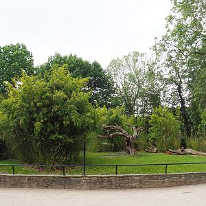 Mountain bongo paddock, 2021-06-12