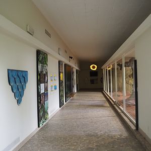 Bird house - Educational corridor, 2021-06-12