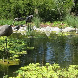 Small pond near the chateau