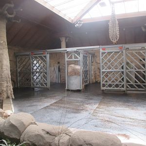 African elephant's house