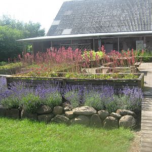 Enghave Dyre- og Naturpark - Courtyard