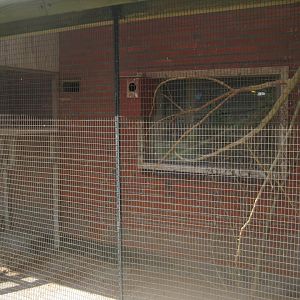 Enghave Dyre- og Naturpark - Courtyard - Budgie aviary #1