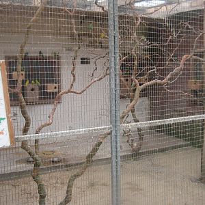 Enghave Dyre- og Naturpark - Courtyard - Budgie aviary #2