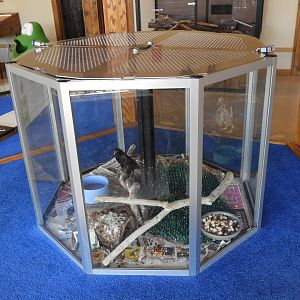 European Starling exhibit - Nature Center - Bay Beach Wildlife Sanctuary