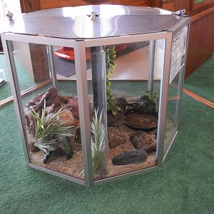 Split Terrarium - Nature Center - Bay Beach Wildlife Sanctuary