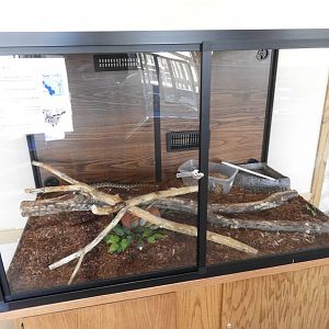 Bullsnake exhibit - Nature Center - Bay Beach Wildlife Sanctuary