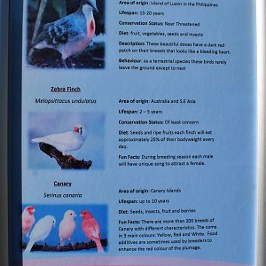 Victoria Esplanade aviaries - signage example