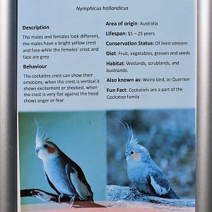Victoria Esplanade aviaries - signage example