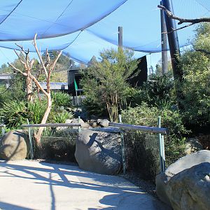 Wildbase Recovery - walk-through aviary interior