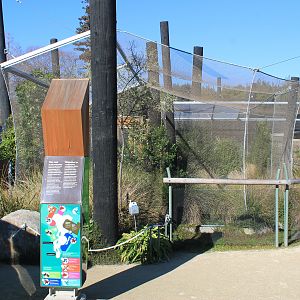 Wildbase Recovery - Brown Teal aviary