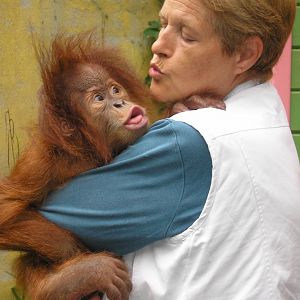 Sumatran orangutan "Juliana" with keeper -Zoo Santillana del Mar (2007)