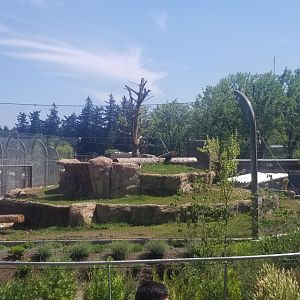 Polar Bear Exhibit #1