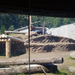 Polar Bear Exhibit #1