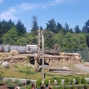 Polar Bear Exhibit #2